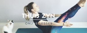 Thuis ZYN
