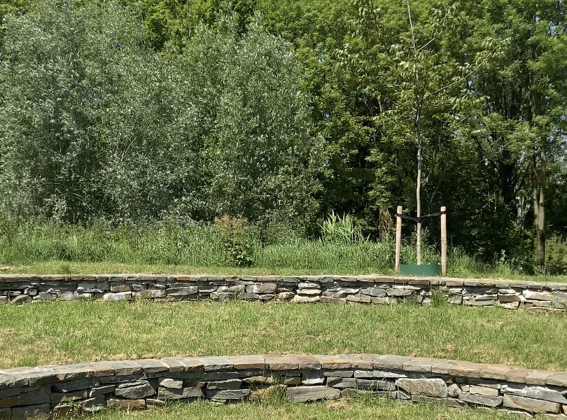 Bos idylle