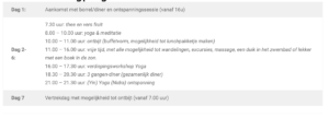 voorbeeld dagprogramma