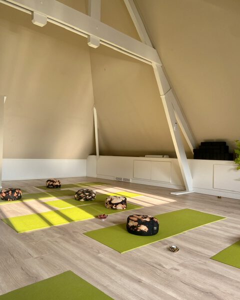 proefles yoga