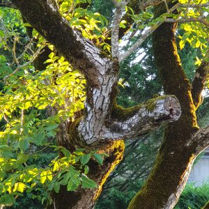 20200725_070928